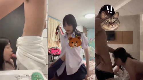 คลิปหลุดนักเรียน ขยันดูดขนาดนี้ต้องจับเย็ดทุกวัน XXX ตั้งกล้องแล้วล่อหีวัยรุ่น คร่อมควยแล้วร่อนเอวคาชุดนักเรียน ตัวเล็กเย็ดมันเด้าทีครางลั่นห้อง